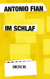 Im Schlaf