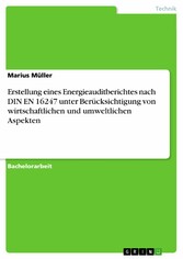 Erstellung eines Energieauditberichtes nach DIN EN 16247 unter Berücksichtigung von wirtschaftlichen und umweltlichen Aspekten