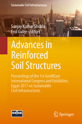 Advances in Reinforced Soil Structures