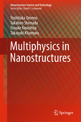 Multiphysics in Nanostructures