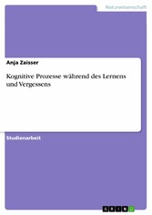 Kognitive Prozesse während des Lernens und Vergessens