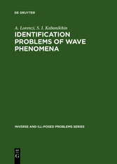 Identification Problems of Wave Phenomena