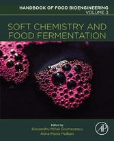 Soft Chemistry and Food Fermentation