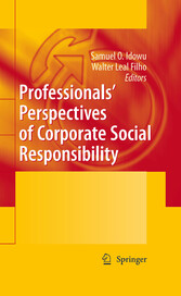 Professionals´ Perspectives of Corporate Social Responsibility