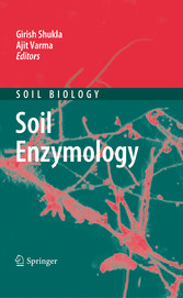 Soil Enzymology