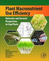 Plant Macronutrient Use Efficiency