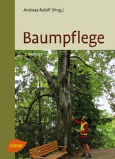 Baumpflege