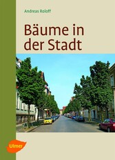 Bäume in der Stadt