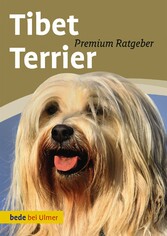 Tibet Terrier