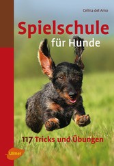 Spielschule für Hunde