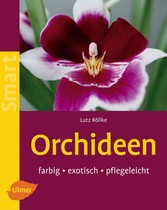 Orchideen