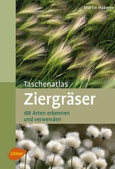 Ziergräser