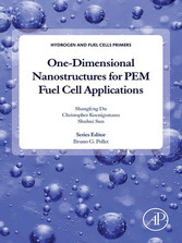 One-dimensional Nanostructures for PEM Fuel Cell Applications