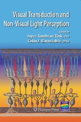 Visual Transduction And Non-Visual Light Perception