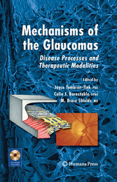 Mechanisms of the Glaucomas