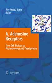 A3 Adenosine Receptors from Cell Biology to Pharmacology and Therapeutics