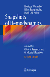 Snapshots of Hemodynamics