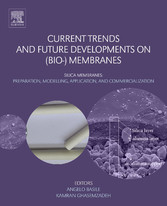 Current Trends and Future Developments on (Bio-) Membranes