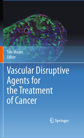 Vascular Disruptive Agents for the Treatment of Cancer