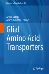 Glial Amino Acid Transporters