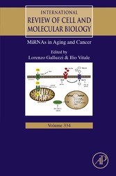 MiRNAs in Aging and Cancer