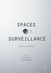 Spaces of Surveillance