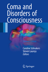 Coma and Disorders of Consciousness