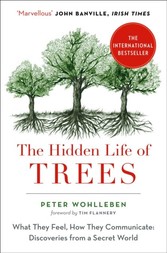 Hidden Life of Trees: The International Bestseller - What They Feel, How They Communicate