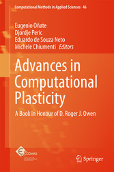 Advances in Computational Plasticity