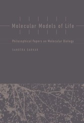 Molecular Models of Life