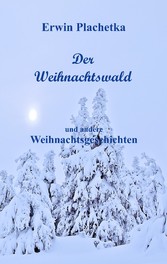 Der Weihnachtswald