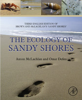 The Ecology of Sandy Shores