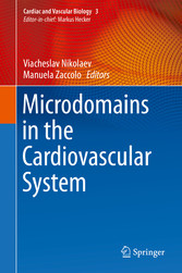 Microdomains in the Cardiovascular System