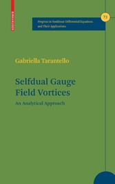 Selfdual Gauge Field Vortices