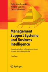 Management Support Systeme und Business Intelligence