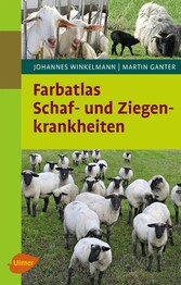 Schaf- und Ziegenkrankheiten