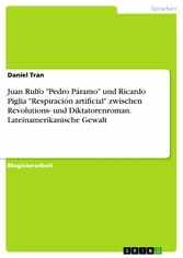 Juan Rulfo 'Pedro Páramo' und Ricardo Piglia 'Respiración artificial' zwischen Revolutions- und Diktatorenroman. Lateinamerikanische Gewalt