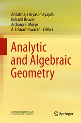 Analytic and Algebraic Geometry