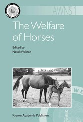 The Welfare of Horses