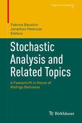 Stochastic Analysis and Related Topics