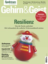 Gehirn&Geist 11/2017 - Resilienz