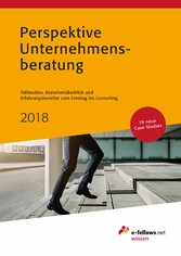 Perspektive Unternehmensberatung 2018