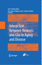 Interaction Between Neurons and Glia in Aging and Disease