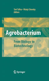 Agrobacterium: From Biology to Biotechnology