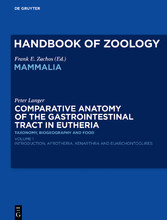 Comparative Anatomy of the Gastrointestinal Tract in Eutheria I