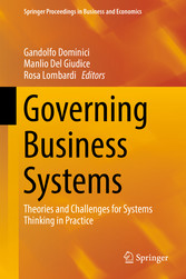 Governing Business Systems