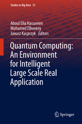 Quantum Computing:An Environment for Intelligent Large Scale Real Application