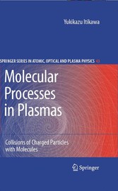 Molecular Processes in Plasmas