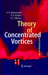 Theory of Concentrated Vortices