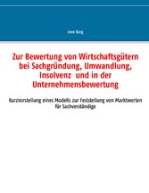 Zur Bewertung von Wirtschaftsgütern bei Sachgründung, Umwandlung, Insolvenz und in der Unternehmensbewertung